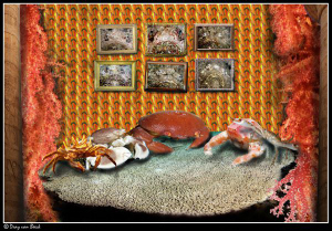 Knights of the round table (coral)... by Dray Van Beeck 